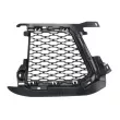 BLIC 6502-07-2003993P - Grille de ventilation, pare-chocs avant gauche
