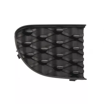 Grille de ventilation, pare-chocs avant BLIC 6502-07-2013922P pour FIAT 500 1.3 D Multijet - 78cv