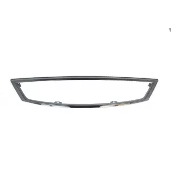 Baguette et bande protectrice, grille de radiateur BLIC 6502-07-2555996Q