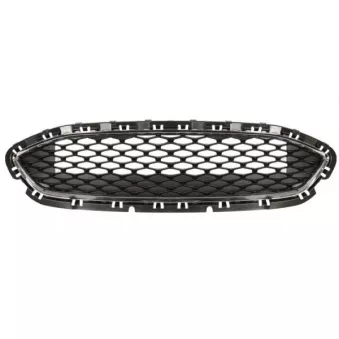Grille de radiateur BLIC 6502-07-2566911P