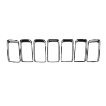 BLIC 6502-07-3206998DP - Baguette et bande protectrice, grille de radiateur