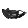 BLIC 6502-07-3529911PP - Grille de ventilation, pare-chocs avant gauche