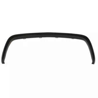 Baguette et bande protectrice, grille de radiateur BLIC 6502-07-3549991P