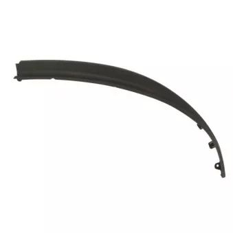 Spoiler avant gauche BLIC 6502-07-5054921P