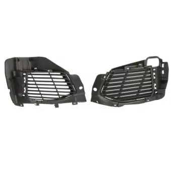 BLIC 6502-07-5547912P - Grille de ventilation, pare-chocs avant