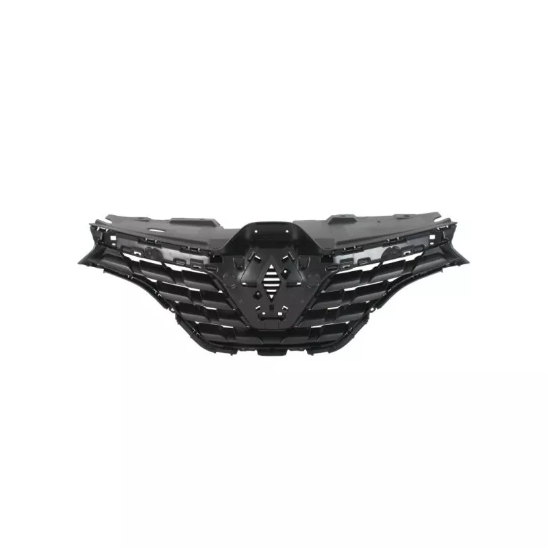 Grille de radiateur BLIC 6502-07-6090994P - Visuel 1