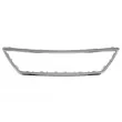 BLIC 6502-07-6619990P - Baguette et bande protectrice, grille de radiateur