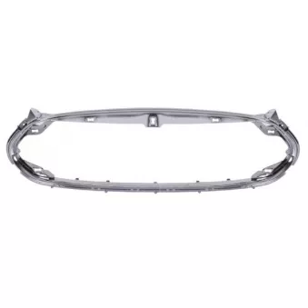 BLIC 6502-07-7707991P - Baguette et bande protectrice, grille de radiateur