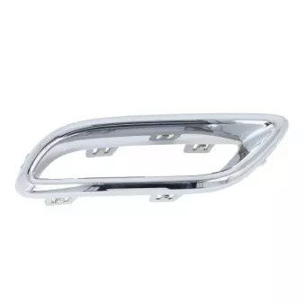 Baguette et bande protectrice, pare-chocs avant gauche BLIC 6502-07-7801911P pour MG MG EV - 156cv