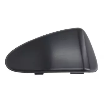 Baguette et bande protectrice, pare-chocs avant gauche BLIC 6502-07-8101971Q