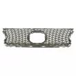 BLIC 6502-07-8171995P - Grille de radiateur