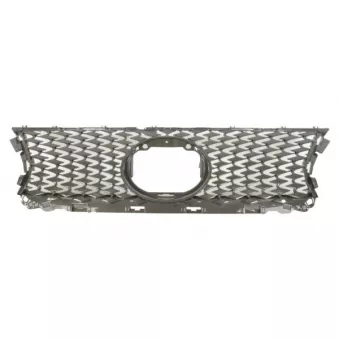 Grille de radiateur BLIC 6502-07-8171995P