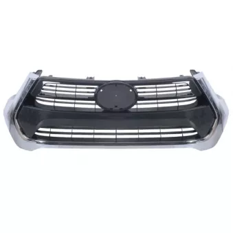 Grille de radiateur BLIC 6502-07-8176991P