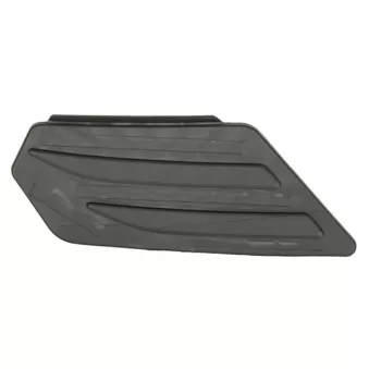 Marchepied avant BLIC OEM 65416100057