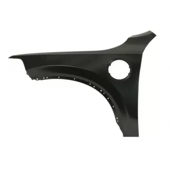 Aile avant gauche BLIC 6504-04-9061313AP