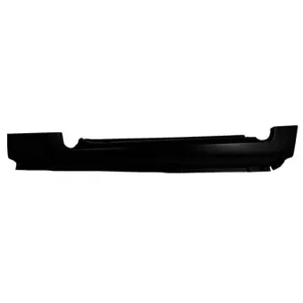Plaque de seuil avant droit BLIC 6505-06-2515046K
