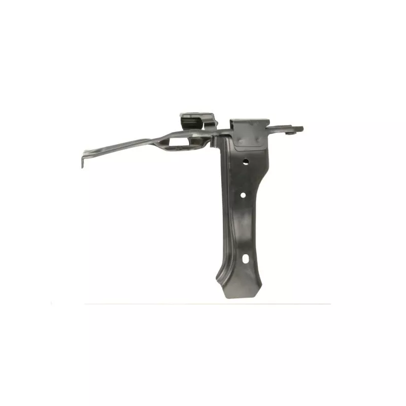 Revêtement avant BLIC 6508-05-3332262P - Visuel 1