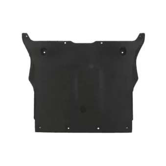 BLIC 6601-02-7703881P - Cache moteur