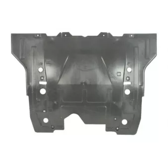 BLIC 6601-05-0000053Q - Cache moteur