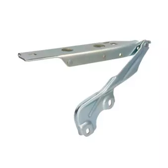 Charnière, capot-moteur BLIC 6802-00-0043451P pour IVECO DAILY LINE RS6 performance quattro - 605cv