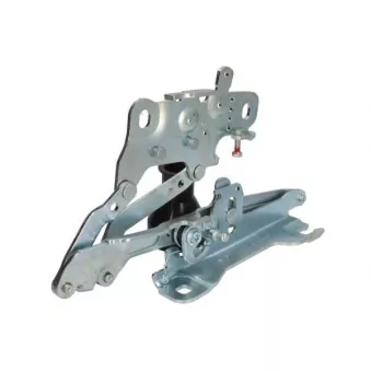 Charnière, capot-moteur BLIC 6802-00-0063452P pour BMW Série 3 430 d - 258cv