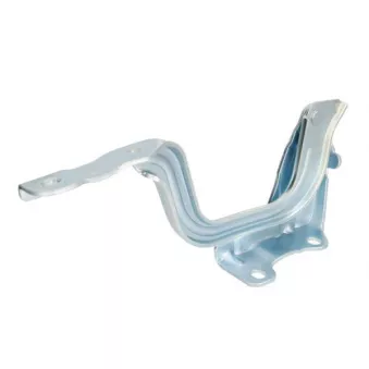 Charnière, capot-moteur BLIC 6802-00-1618452P pour AUDI A5 1.6 GDI Hybrid - 141cv