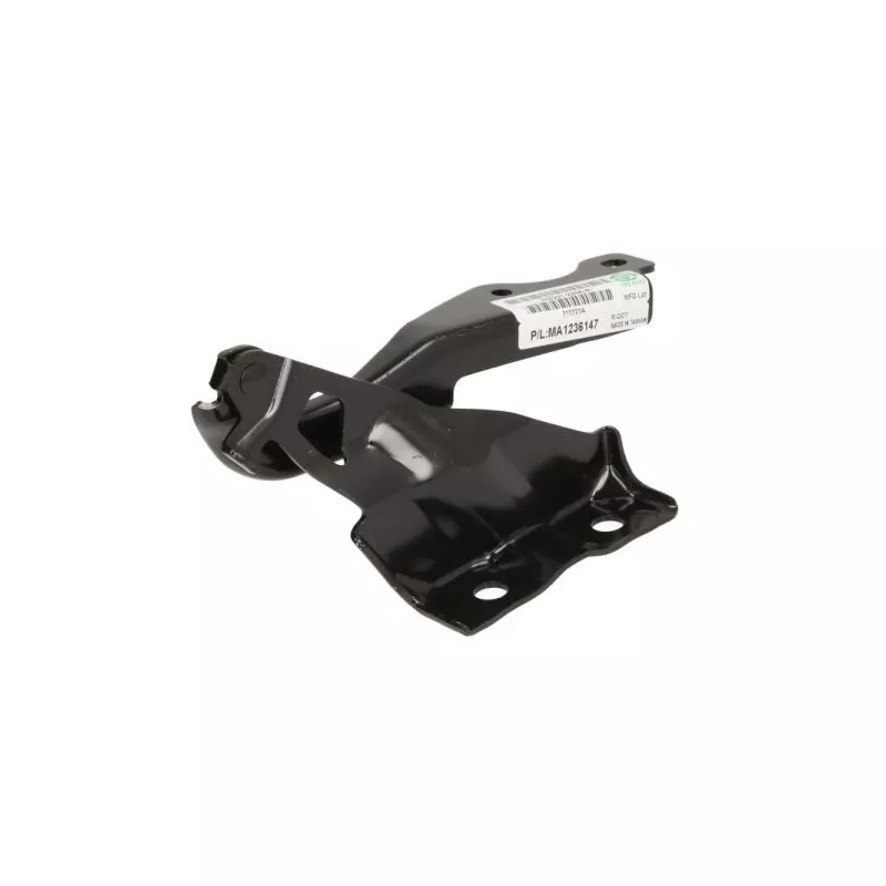 Charnière, capot-moteur BLIC 6802-00-3493452P - Visuel 1