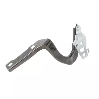 Charnière, capot-moteur BLIC [6802-00-7706451P]