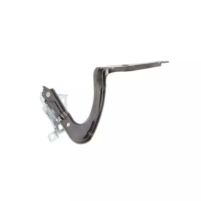 Charnière, capot-moteur BLIC 6802-00-7706451P - Visuel 1