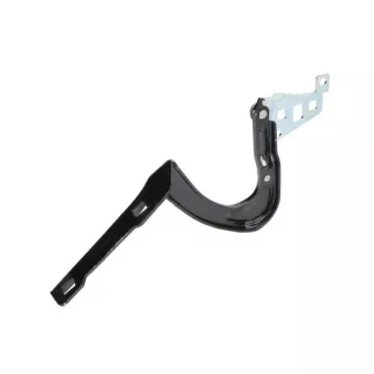 Charnière, capot-moteur BLIC [6802-00-7706452P]