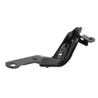 Charnière, capot-moteur BLIC 6802-00-8179454P pour VOLKSWAGEN GOLF 2.2 D-4D - 136cv