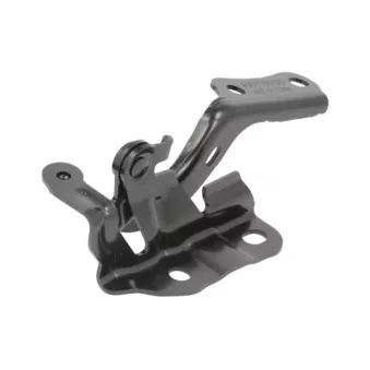 Charnière, capot-moteur BLIC OEM 5341076030