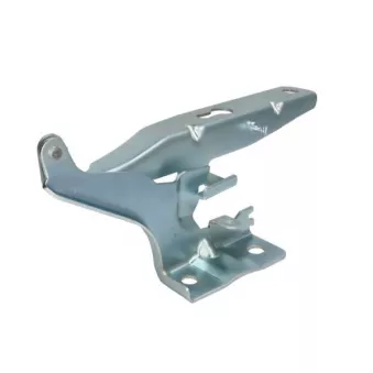 Charnière, capot-moteur BLIC 6802-00-9058452P