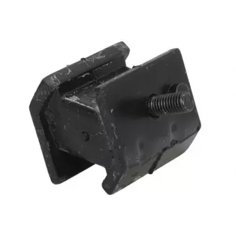 Suspension, boîte automatique REINHOCH OEM 24701138428