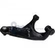 Bras de liaison, suspension de roue arrière gauche JAPANPARTS [BQ715L]