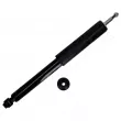 ASHIKA MA-80057 - Jeu de 2 amortisseurs arrière