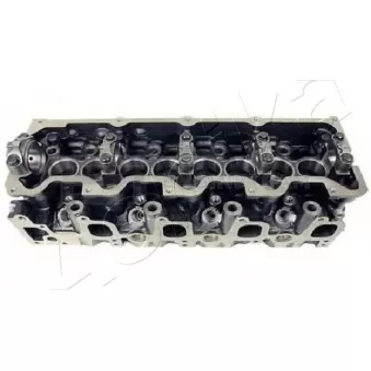 Culasse de cylindre ASHIKA OEM 909051