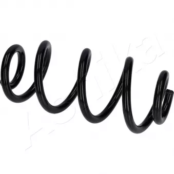 ASHIKA ZCA00005 - Ressort de suspension