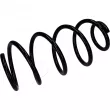 Ressort de suspension ASHIKA [ZCA90334]