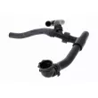 VAICO V10-000101 - Durite de radiateur