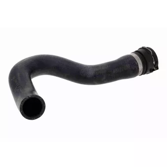 VAICO V10-000113 - Durite de radiateur