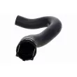 VAICO V10-000113 - Durite de radiateur