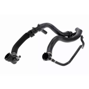 VAICO V10-000119 - Durite de radiateur