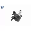 VAICO V10-0635 - Rotule de suspension