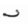 VAICO V10-0775 - Tuyau, ventilation de carter-moteur