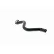 VAICO V10-0776 - Tuyau, ventilation de carter-moteur