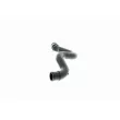 VAICO V10-0776 - Tuyau, ventilation de carter-moteur