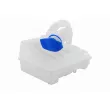 VAICO V10-0795 - Réservoir d'eau de nettoyage, nettoyage des vitres