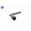 VAICO V10-0895 - Durite de radiateur