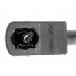 VAICO V10-0993 - Vérin, capot-moteur